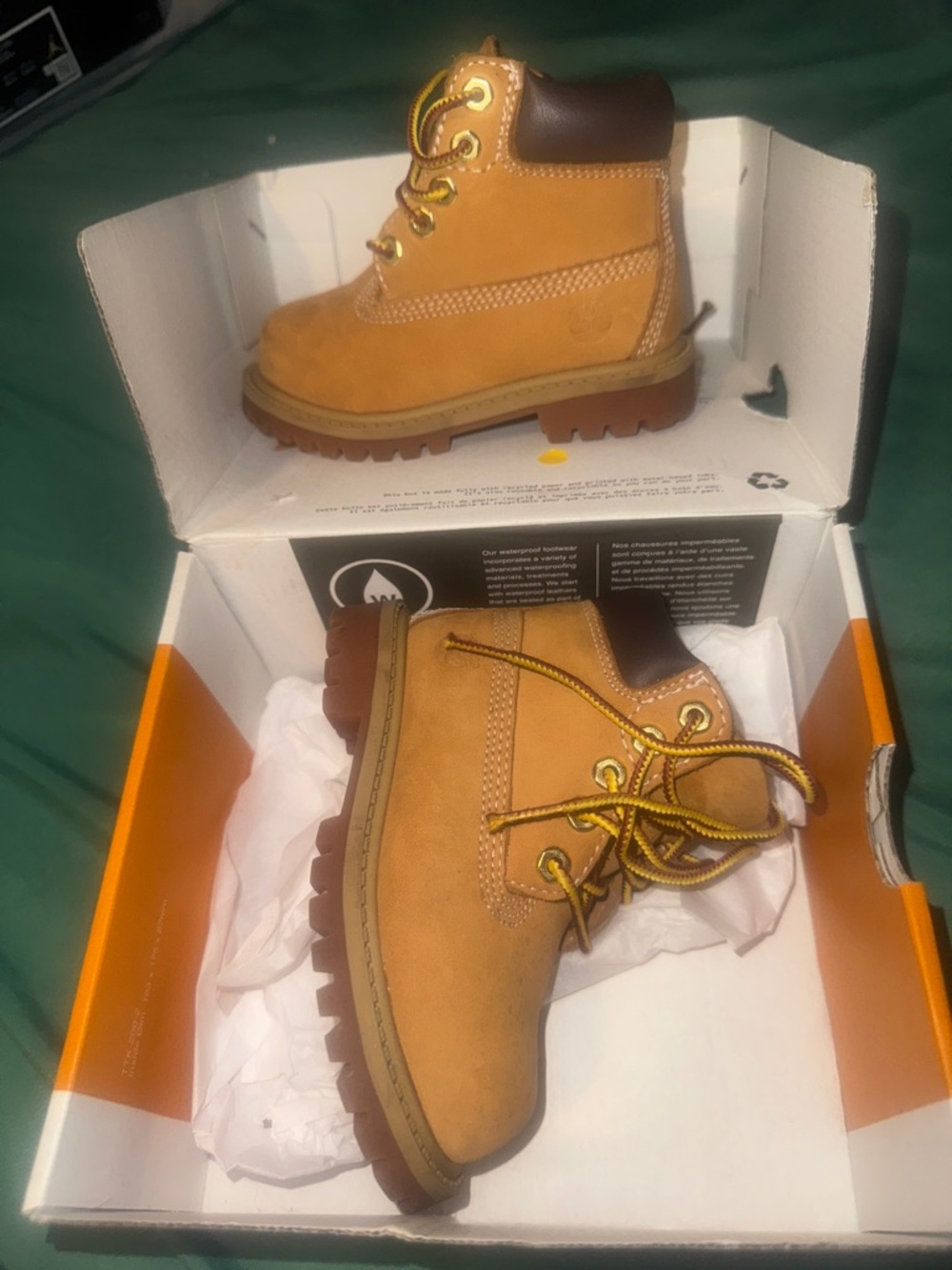 Timberland Kids 6" Premium Boot in Wheat/Tan toddler - Picture 9 of 9
